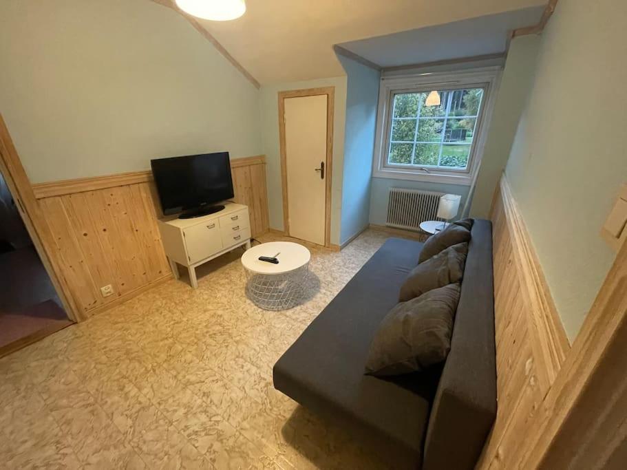 Large Cozy Villa Between Stockholm And Oslo Amotfors Ngoại thất bức ảnh